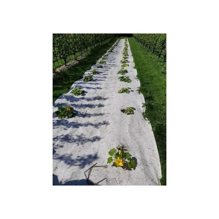 Dalles fendues Herbi'Chanvre 500 g/m²- 44 x 44 cm - Lot de 3