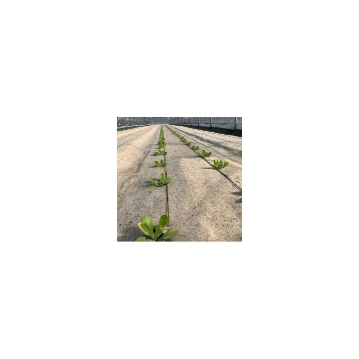 Dalles fendues Herbi'Chanvre 500 g/m²- 44 x 44 cm - Lot de 3
