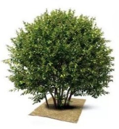 Dalles fendues Herbi'Chanvre 500 g/m²- 44 x 44 cm - Lot de 3
