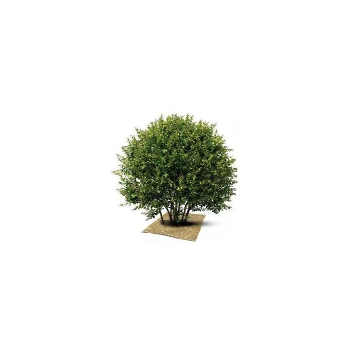 Dalles fendues Herbi'Chanvre 500 g/m²- 44 x 44 cm - Lot de 3