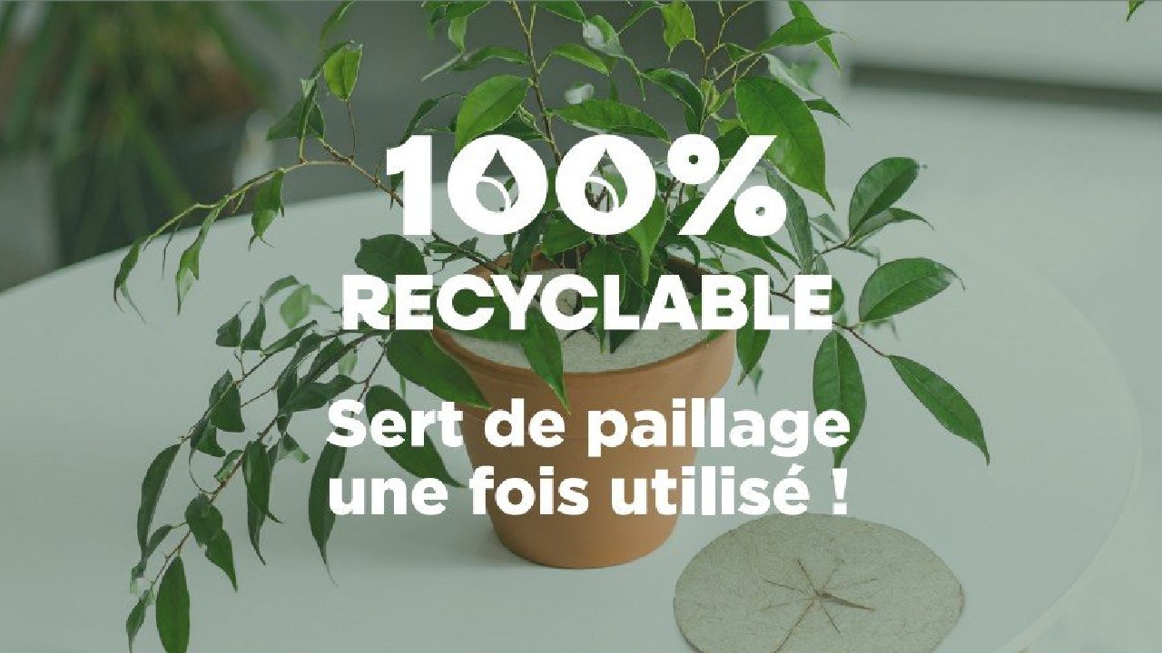 Sachet de 3 Disques Antimoustiques