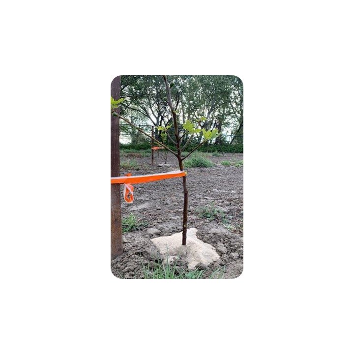 Dalles fendues Herbi'Chanvre 500 g/m²- 44 x 44 cm - Lot de 3