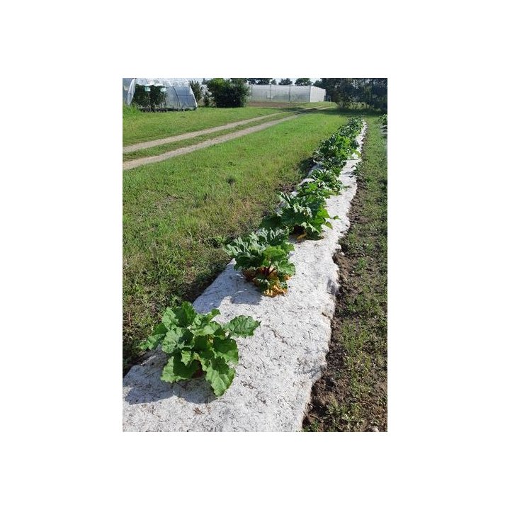 Rouleau de paillage HERBI'CHANVRE 500 g/m² - 0,56m x 5m
