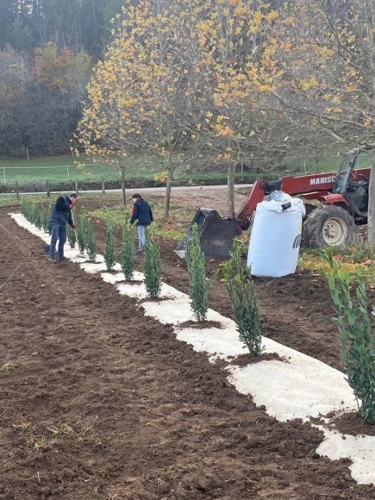 Rouleau de paillage HERBI'CHANVRE 500 g/m² - 0,56m x 5m