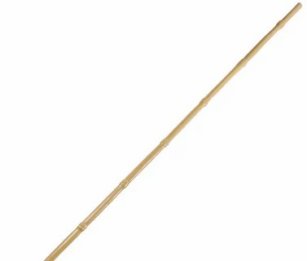 Tuteurs bambou diam 8-10 lot de 500