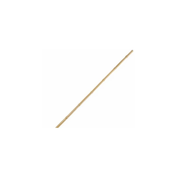 Tuteurs bambou diam 8-10 lot de 500