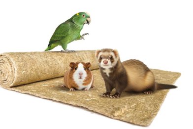litieres - Herbi'Chanvre 500 g/m²- 120 cm x 50 cm